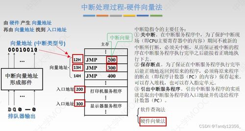 2024王道考研計(jì)算機(jī)組成原理 輸入輸出系統(tǒng)與計(jì)算機(jī)系統(tǒng)服務(wù)